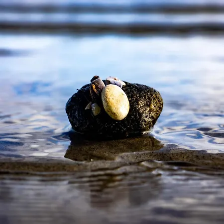 Ostseekueste 16 Vakantiehuis